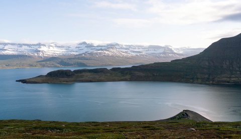 Fjarðabyggð. Photo: Jessica Auer